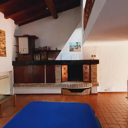 Il Cardellino